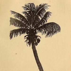 ☼ Welcome to Pirate Parcels ☼